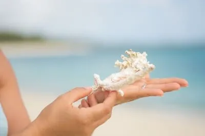 Lebensstil auf Mauritius