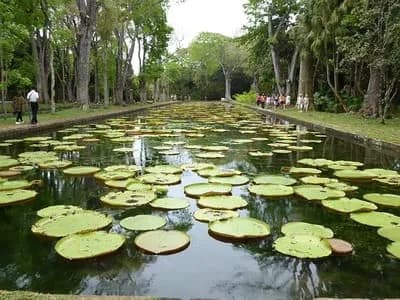 Die schönsten Orte auf Mauritius
